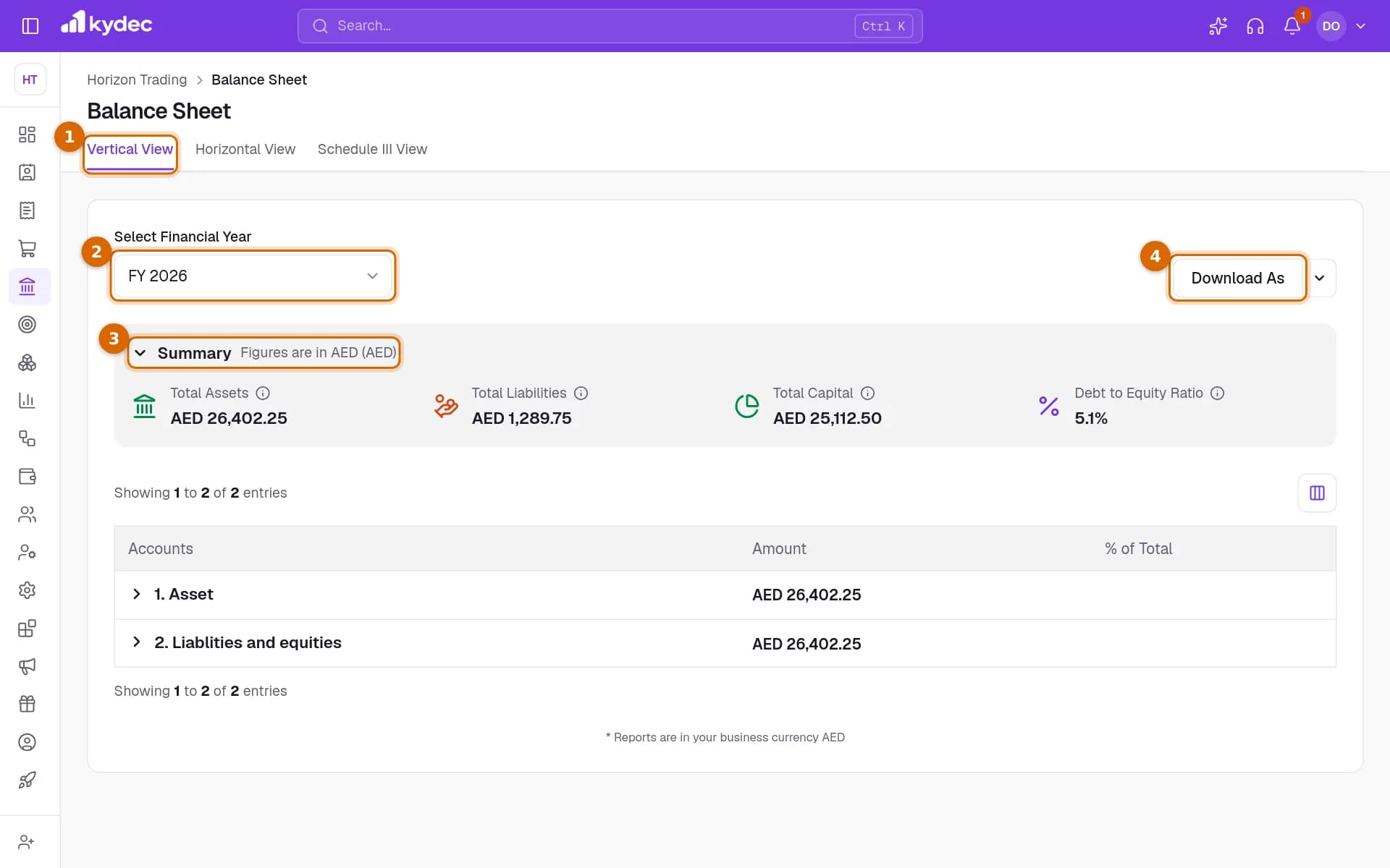 The Balance Sheet in Vertical View with the view tabs, the financial year, the Summary and the Download As button marked.
